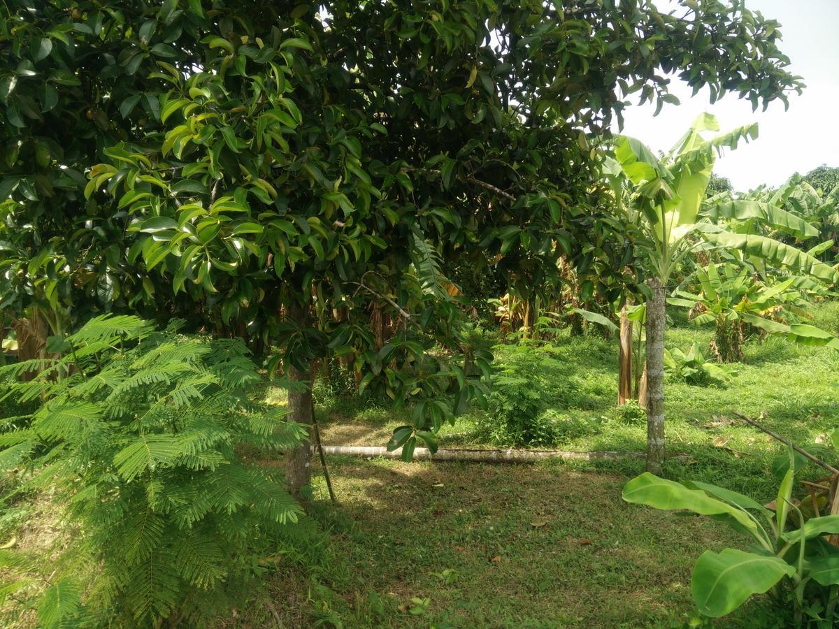 Deva Garden Resort Prachinburi Exterior photo