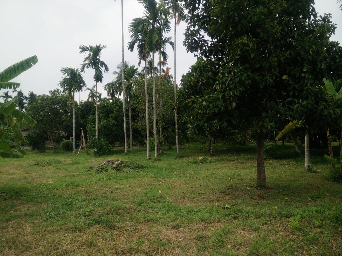 Deva Garden Resort Prachinburi Exterior photo